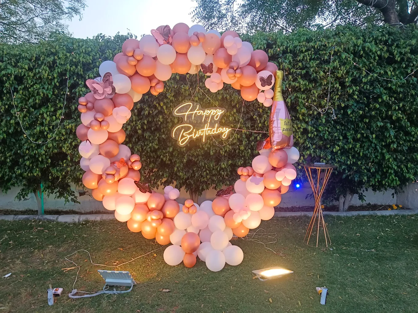 Birthday Anniversary Celebration at Hridhya Farm Gurgaon